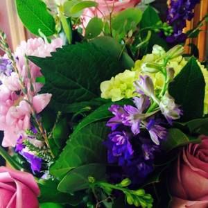 Meet your Posher, Janet